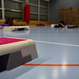 Aerobic