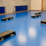 Aerobic / Functional
